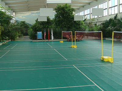 Pista de bádminton interior