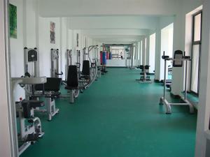 Gimnasio